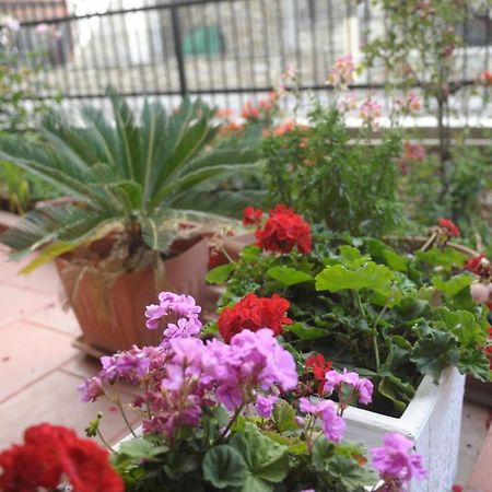 Sea View Apartments Artemis Λεπτοκαρυά Εξωτερικό φωτογραφία